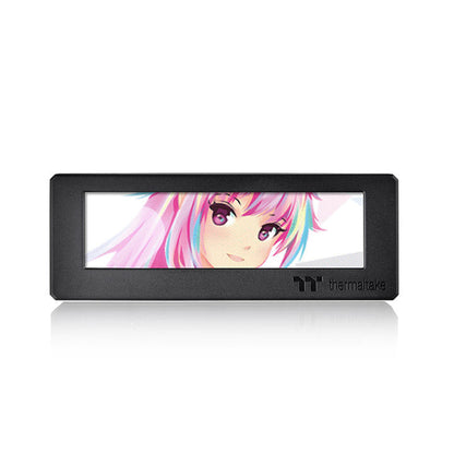 3.9" LCD 擴充螢幕