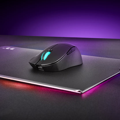 DAMYSUS RGB 無線人體工學 電競滑鼠