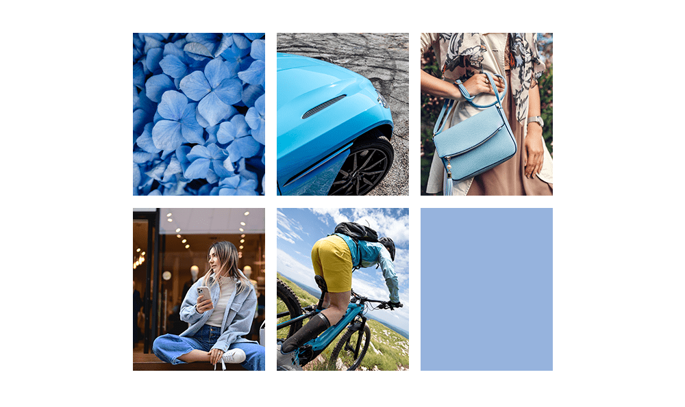 Hydrangea Blue bike