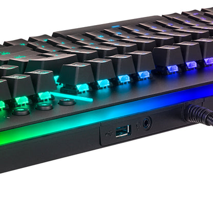 Level 20 RGB 機械式雷蛇軸電競鍵盤